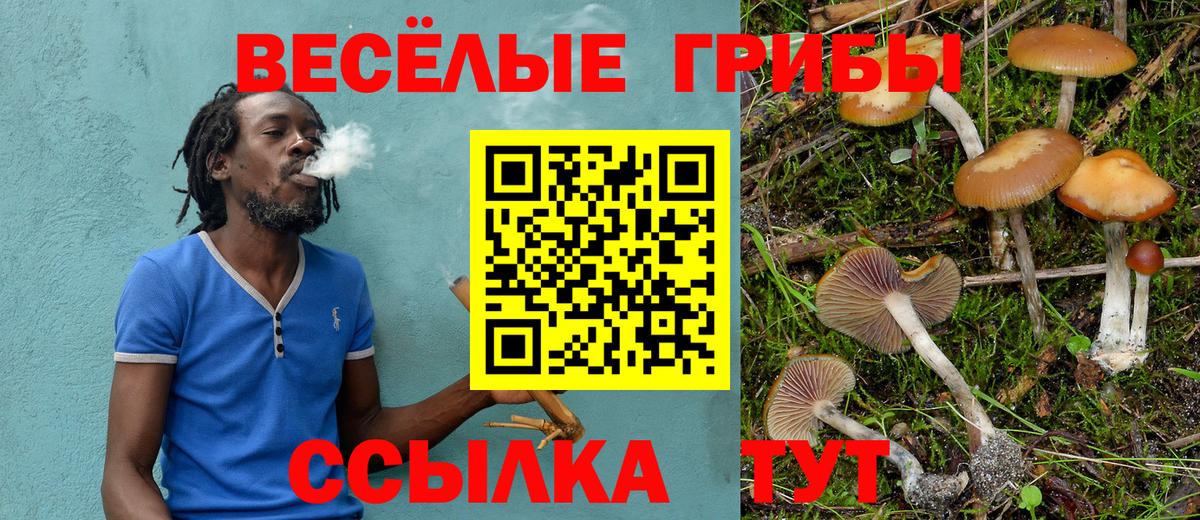 Галлюциногенные грибы Psilocybe Изобильный
